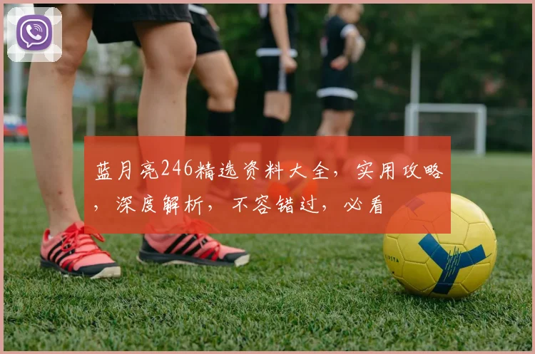 蓝月亮246精选资料大全，实用攻略，深度解析，不容错过，必看
