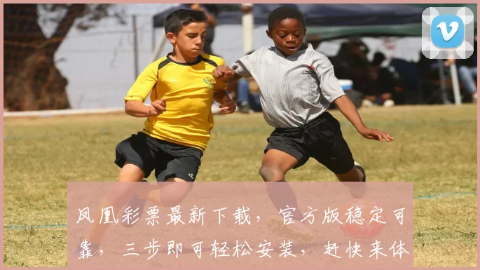凤凰彩票最新下载，官方版稳定可靠，三步即可轻松安装，赶快来体验