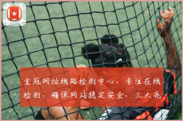 金冠网址线路检测中心，专注在线检测，确保网站稳定安全，三大亮点，值得信赖