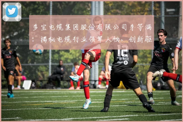 多宝电缆集团股份有限公司李等满：揭秘电缆行业领军人物，创新驱动发展之路